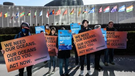 Los Gobiernos fracasan en el acuerdo para un Tratado Global de los Océanos
