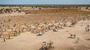 Cambio climático: Récords por tierra, mar y aire en 2021