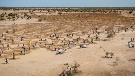 Cambio climático: Récords por tierra, mar y aire en 2021