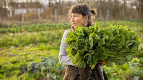 El 99% de los alimentos para la población española se podría cultivar en territorio estatal