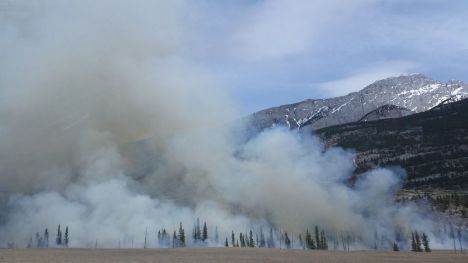 Un cambio sin precedentes en el régimen de incendios del continente europeo