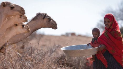 Los niños del Sahel y del Cuerno de África están 