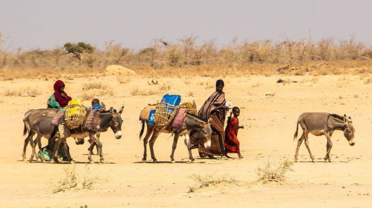 Familia desplazada por la sequía en el Cuerno de África