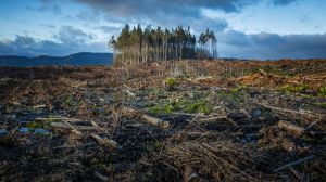 Sin medidas más ambiciosas, las consecuencias del cambio climático 