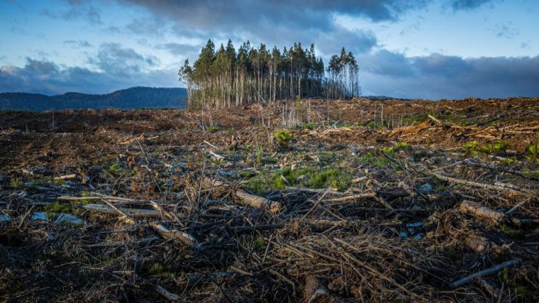 Sin medidas más ambiciosas, las consecuencias del cambio climático 'serán devastadoras'