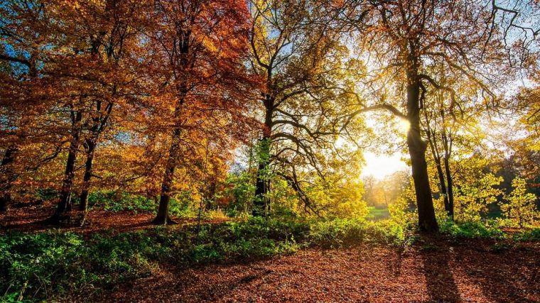 La AEMET prevé que la tendencia cálida continúe en otoño tras un verano de récords de temperatura