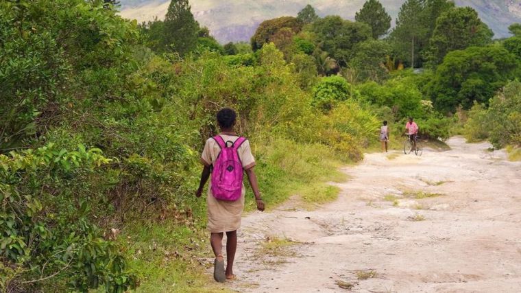 Los bosques y su relación con la salud humana