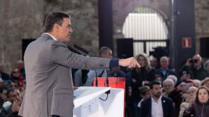 El PSOE lo tiene claro: "Doñana no se va a tocar porque lo quiera Moreno Bonilla o lo diga Feijóo"