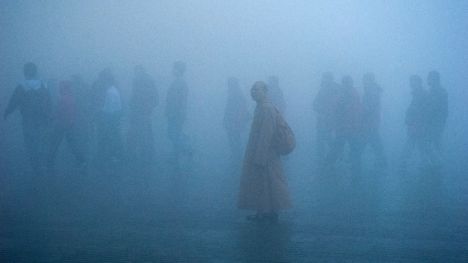 Temperaturas récord, deshielo y aire insalubre para el 99% de la población