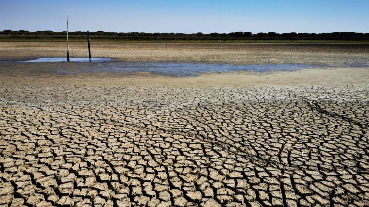 CSIC / Laguna de Santa Olalla, en Doñana, Carmen Díaz Paniagua