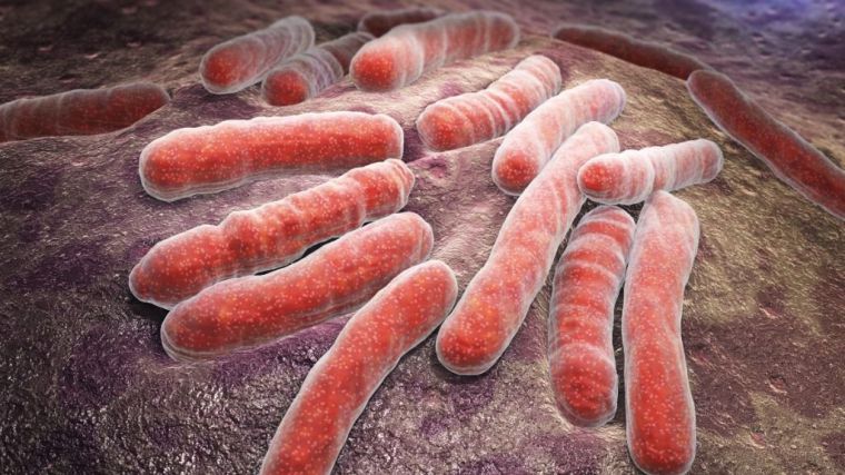 Descienden las muertes por tuberculosis aunque suman la friolera de 1,3 millones en 2022