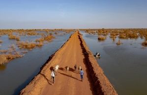 Crisis climática y desplazamiento forzado