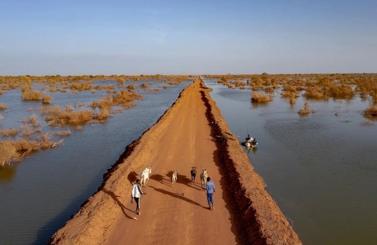Crisis climática y desplazamiento forzado