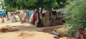 Violencia en Darfur: al menos 20 muertos en ataques a mezquita y hospital