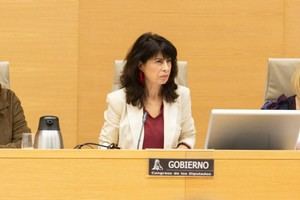 Ana Redondo aboga por la igualdad y derechos de las mujeres en el Congreso