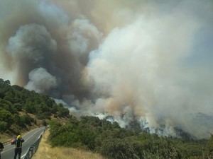 Organizaciones ecologistas piden un pacto urgente contra incendios y cambio climático