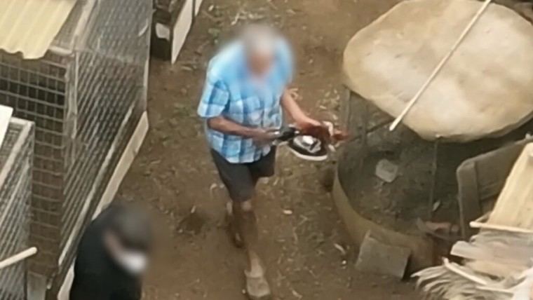 Cinco personas bajo investigación por maltrato animal en Tenerife