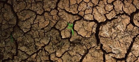 Cumbre Climática 2025: Urge una respuesta global ante el cambio climático