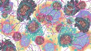 Investigadores revelan cómo los carcinomas orales evaden el sistema inmunitario