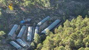 Desmantelan en Teruel una gran plantación de marihuana con nueve invernaderos