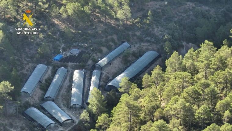Desmantelan en Teruel una gran plantación de marihuana con nueve invernaderos