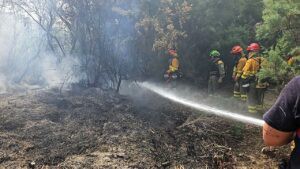 Controlado incendio en el río Mula, Albudeite