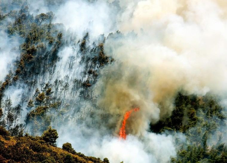 EIOPA y BCE presentan plan europeo para mitigar el impacto económico de desastres naturales