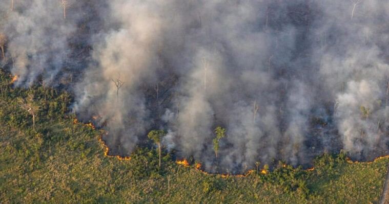 El 87% de los españoles apoya la protección de bosques para combatir el cambio climático