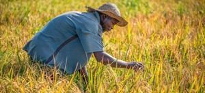 El calor extremo pone en peligro la salud de millones de trabajadores al aire libre