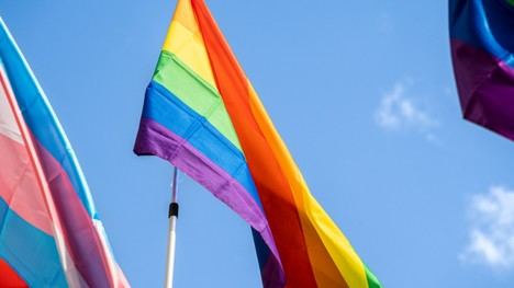 El Gobierno aprueba declaración institucional por el Día del Orgullo LGTBI