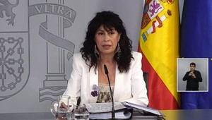 El Gobierno aprueba ley para combatir la violencia vicaria en España