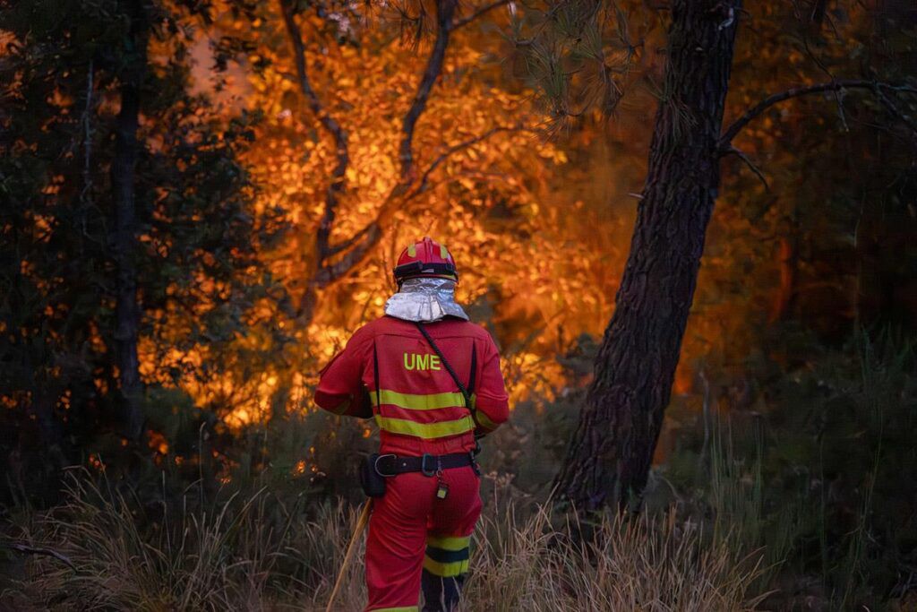 Gobierno habilita un proceso para incluir incendios no reportados en zonas afectadas por emergencias