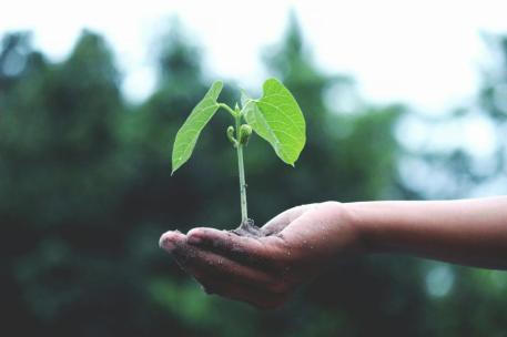 Nuevo grupo de trabajo abordará la adaptación climática en salud pública