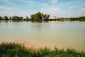 MITECO consulta sobre nuevas ayudas para prácticas agrarias sostenibles