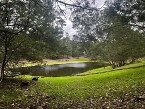 MITECO financia 9 proyectos sostenibles en Doñana con 11,5 millones de euros