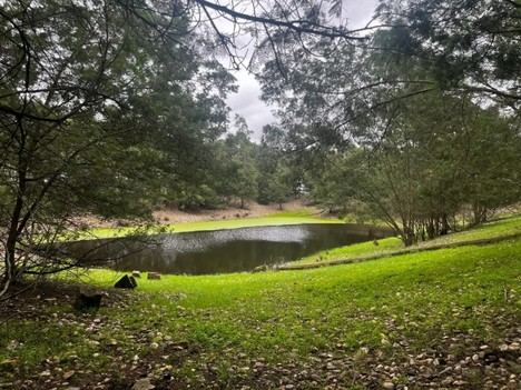 MITECO financia 9 proyectos sostenibles en Doñana con 11,5 millones de euros