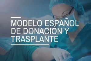 España, líder mundial en trasplantes de órganos y donación