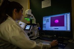 El paro aumenta en octubre, pero se mantiene en niveles históricos bajos