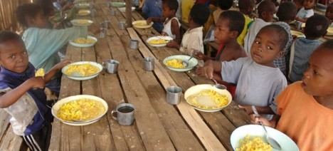La ONU urge a la solidaridad para erradicar el hambre en el Día de la Alimentación