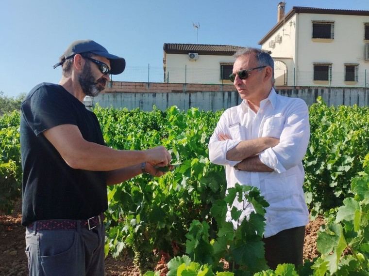 Izquierda Unida exige medidas claras a Sánchez en su próxima comparecencia