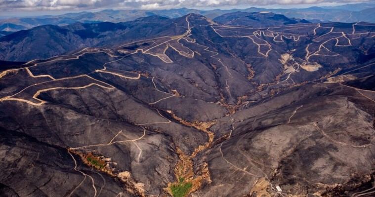 Greenpeace revela la devastación de incendios en Ourense, León y Zamora desde el aire