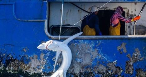 Greenpeace urge a gobiernos a detener la influencia empresarial en la COP de océanos