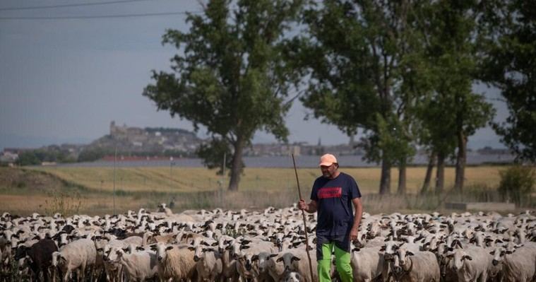 Greenpeace propone 32 medidas para reformar la Ley Alimentaria en Cataluña