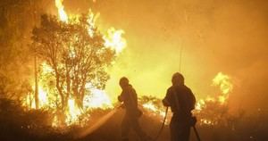 Greenpeace exige acción preventiva ante el aumento de incendios forestales en España