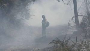 Demandan acciones efectivas y sostenibles contra los incendios forestales