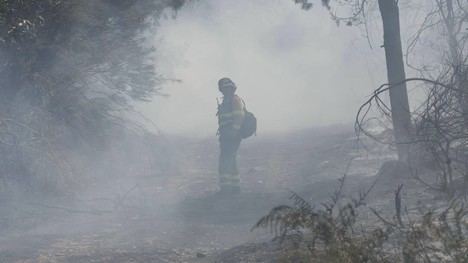 Demandan acciones efectivas y sostenibles contra los incendios forestales