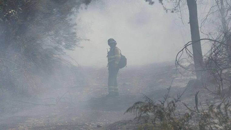 Demandan acciones efectivas y sostenibles contra los incendios forestales