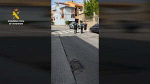 Desmantelan red de tráfico de reptiles y arrestan a tres en Valencia