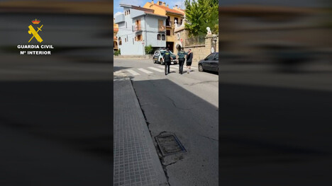 Desmantelan red de tráfico de reptiles y arrestan a tres en Valencia