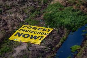 La Comisión Europea aprueba la ley de protección forestal, pero excluye el cuero
